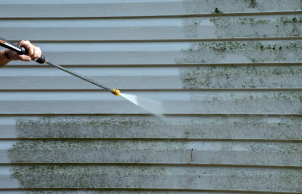 Professional Pressure Washing in Caryville, TN